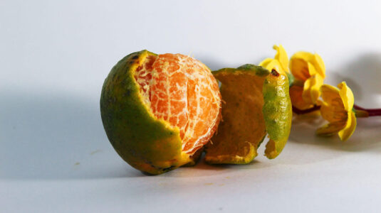 Orange-Peel