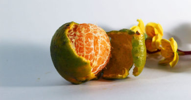 Orange Peel Face mask : 5 Techniques for Clear Skin Orange Peel Face Mask
