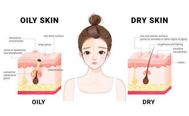 Oily & Dry Skin -Skin Type