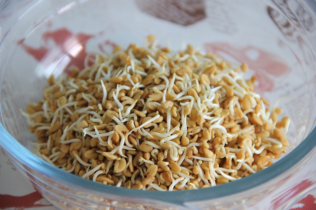 fenugreek powder for hair