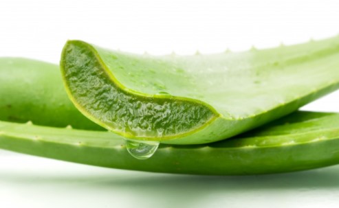 Aloe Vera to remove sun tan
