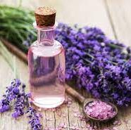 downloadwew 1 e1623071354921 9 Benefits of Lavender Oil for Skin