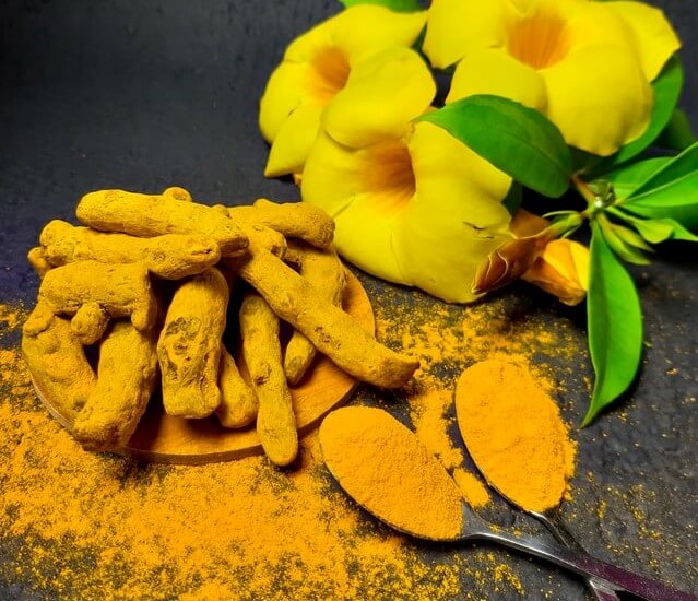 turmeric- blueberry face mask