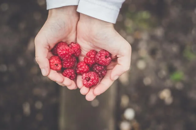 raspberry face mask