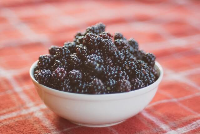 benefits of blackberries