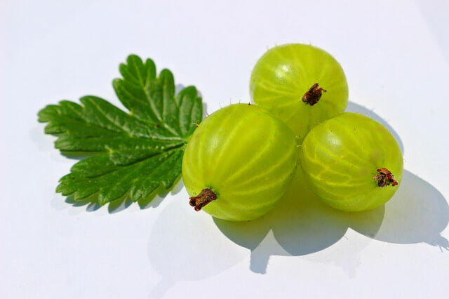 gooseberry for hair