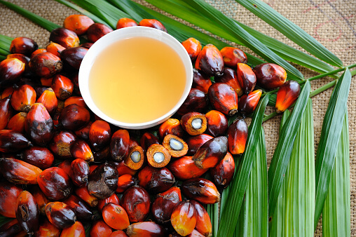 benefits of palm oil