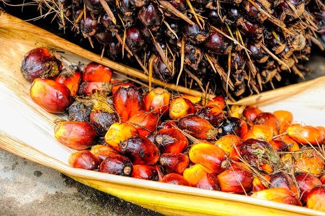 health benefits of palm oil