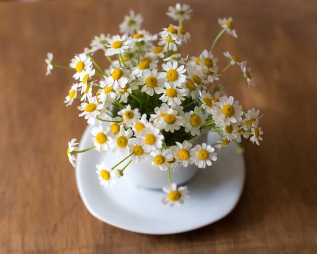 chamomile tea for hair