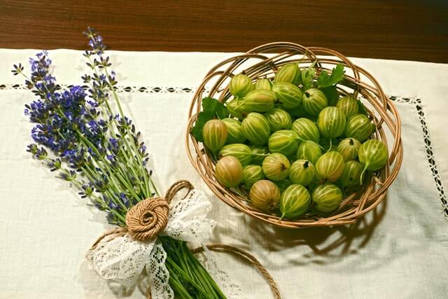 benefits of gooseberry