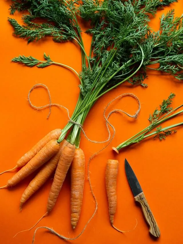 5 Benefits and Remedies of Carrots for Hair 2 health benefits of carrots