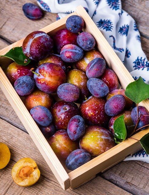 benefits of plum fruit for skin