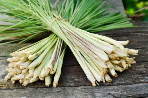 benefits of lemongrass for skin