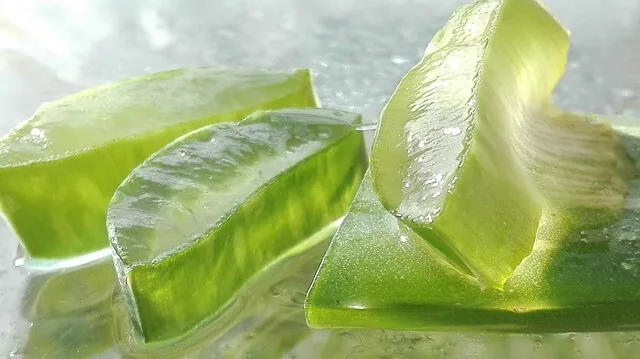 aloe vera juice for hair