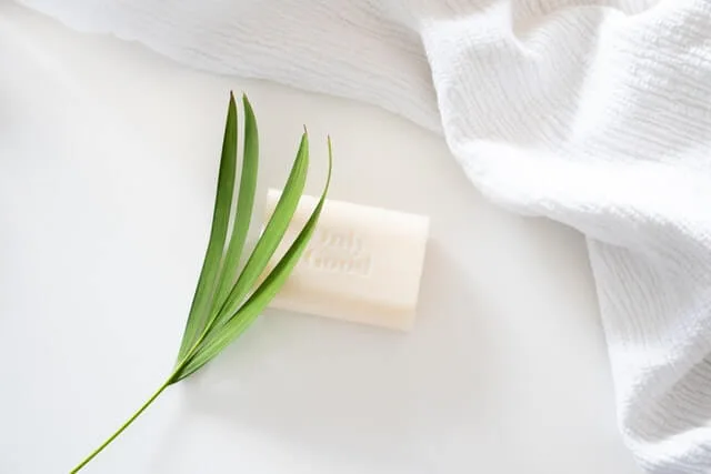 7 Best Soap Brow Products 1 soap brows